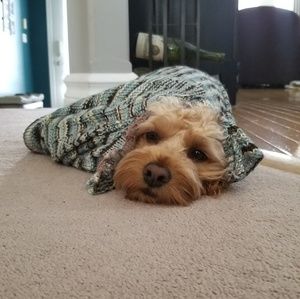 Meet your Posher, Alison